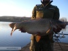 Selectie capturi luna Noiembrie, 2021
